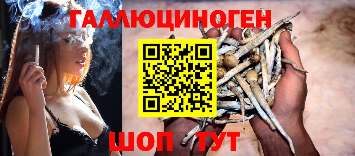 Бузулук  Псилоцибиновые грибы Cubensis  Вход с VPN  что такое   Псилоцибиновые грибы мухоморы 
