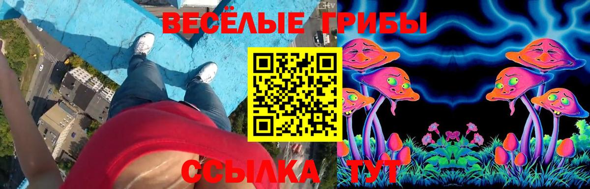 Галлюциногенные грибы GOLDEN TEACHER Бузулук